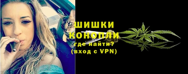дмт Тайга