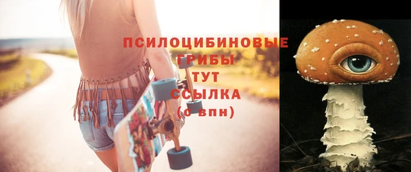соль ск Тавда