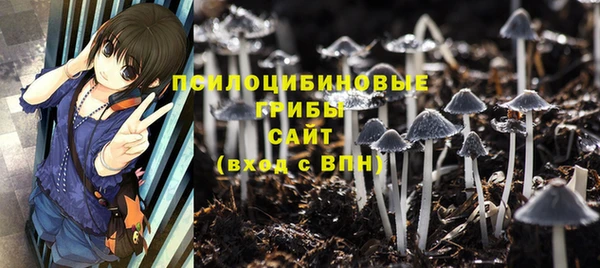a pvp Вязьма