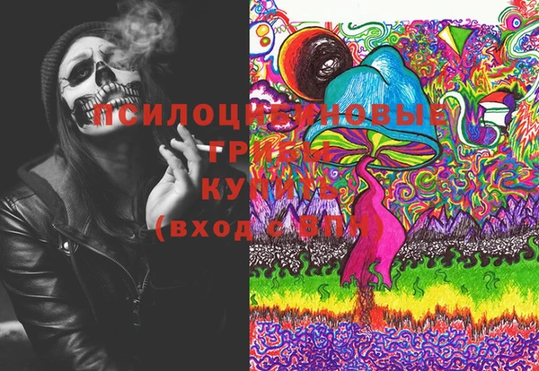 PSILOCYBIN Вязники