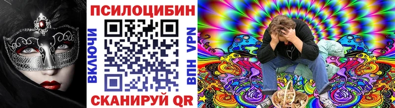 Галлюциногенные грибы Psilocybine cubensis Ипатово